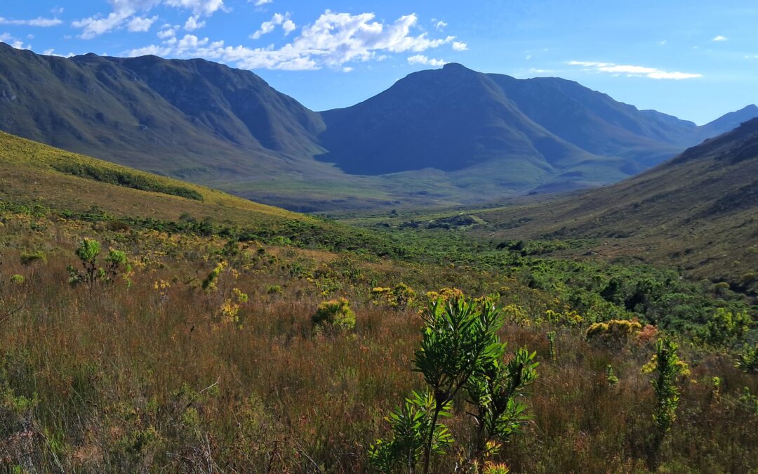 The Kogelberg Biosphere
