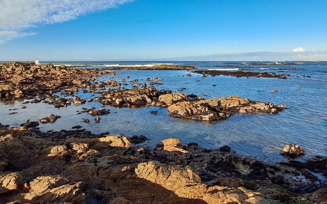 Strandlopers, Fish Traps, and Middens