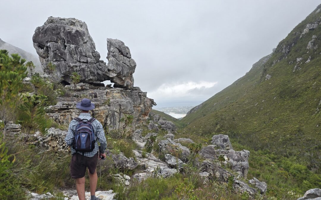 The Geology of the Kogelberg Biosphere
